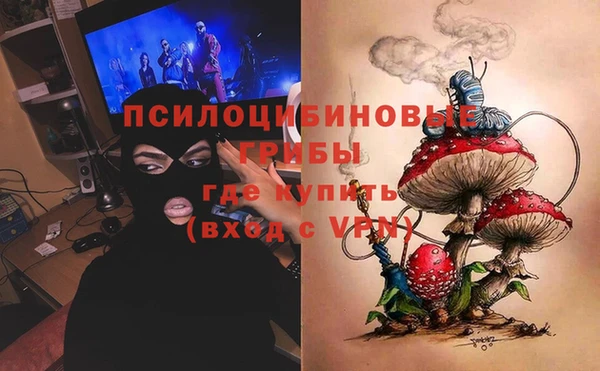 мдпв Бугульма