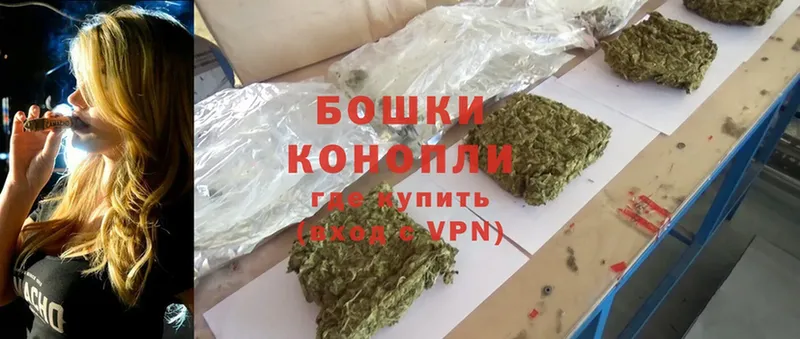 Конопля SATIVA & INDICA  Белёв 